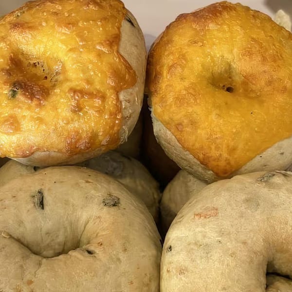 Close-up of two golden-brown cheese bagels and two plain bagels from Alicea's NY Bagels & Subs.