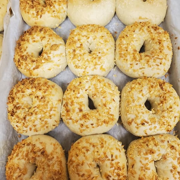 Rows of freshly baked bagels, some plain and some topped with toasted coconut flakes.